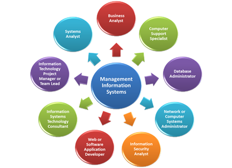 Management Information System Consultancy